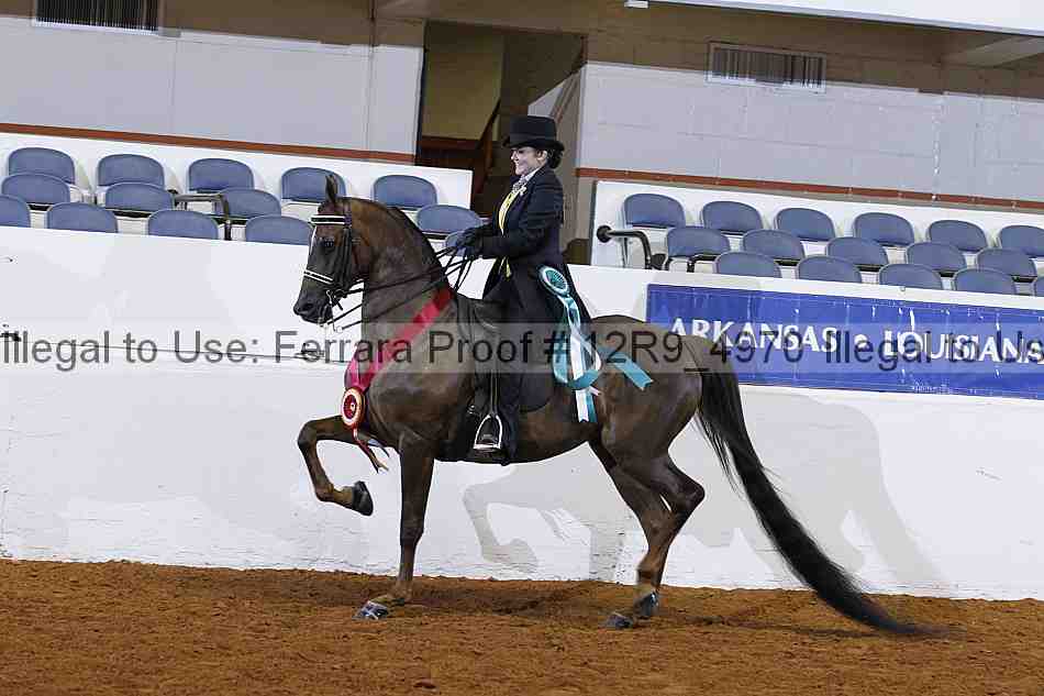 Proof 12r9_4970