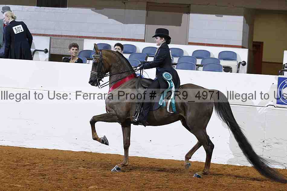 Proof 12r9_4971