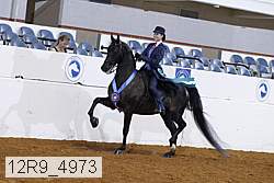 12r9_4973 proof