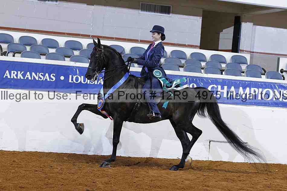 Proof 12r9_4975