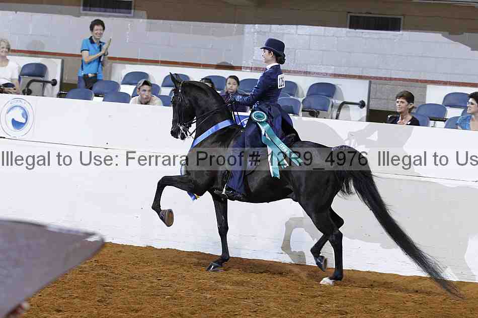 Proof 12r9_4976