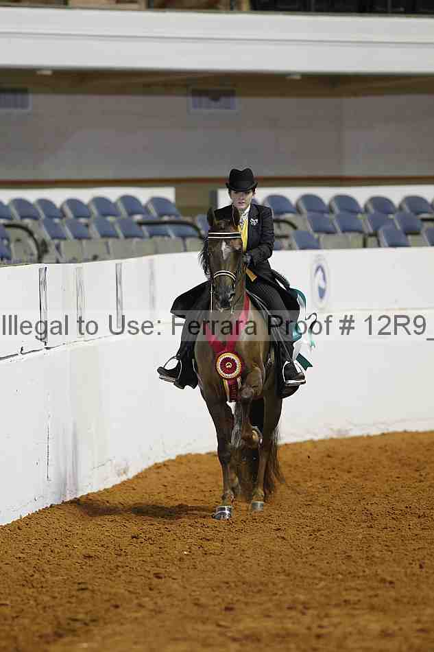 Proof 12r9_4977