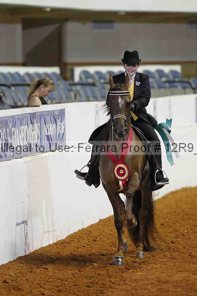 Proof 12r9_4978