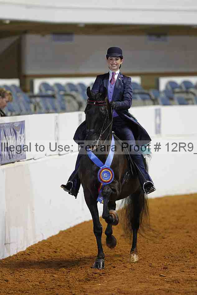 Proof 12r9_4980