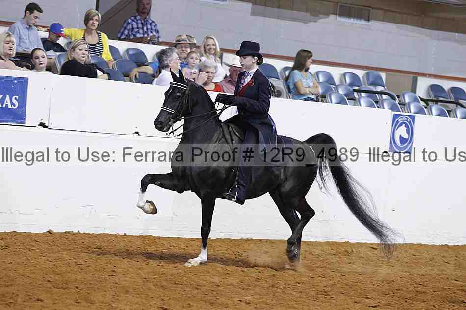 Proof 12r9_4989