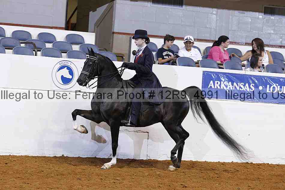 Proof 12r9_4991