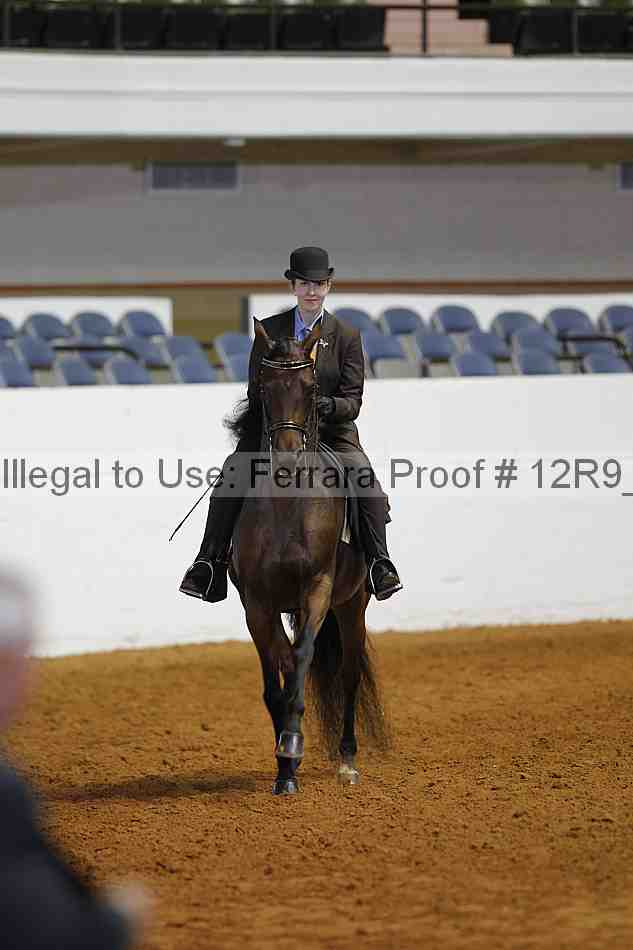 Proof 12r9_5001