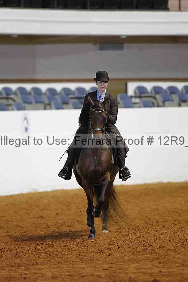 Proof 12r9_5009
