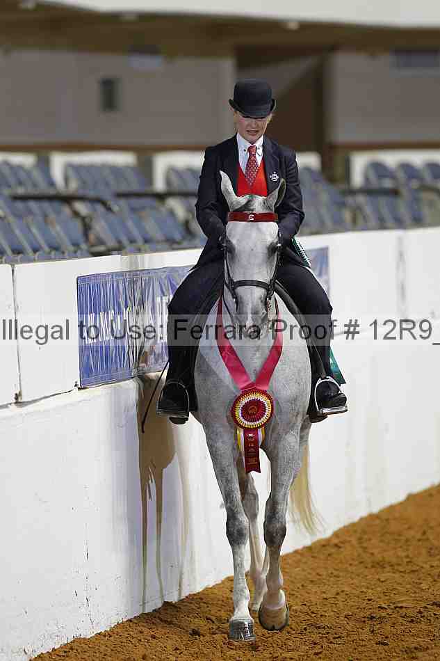 Proof 12r9_5014