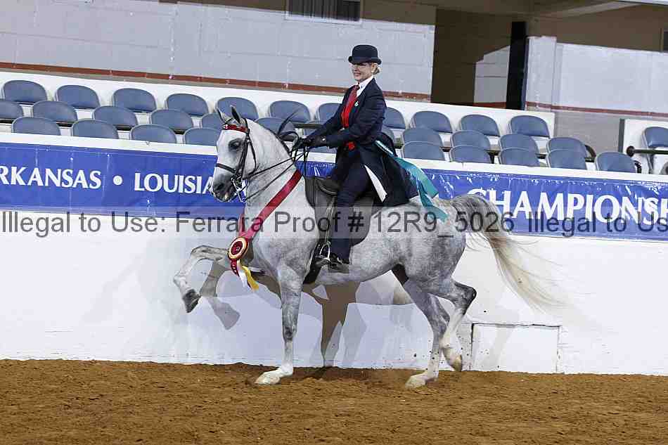 Proof 12r9_5026
