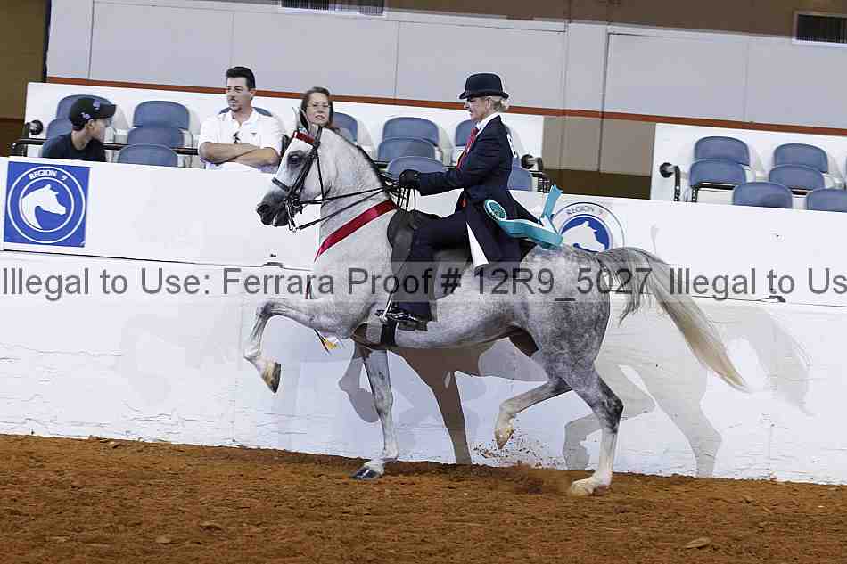 Proof 12r9_5027