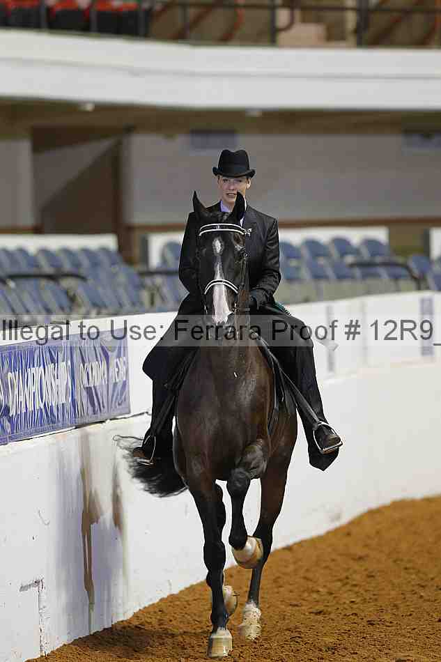Proof 12r9_5028