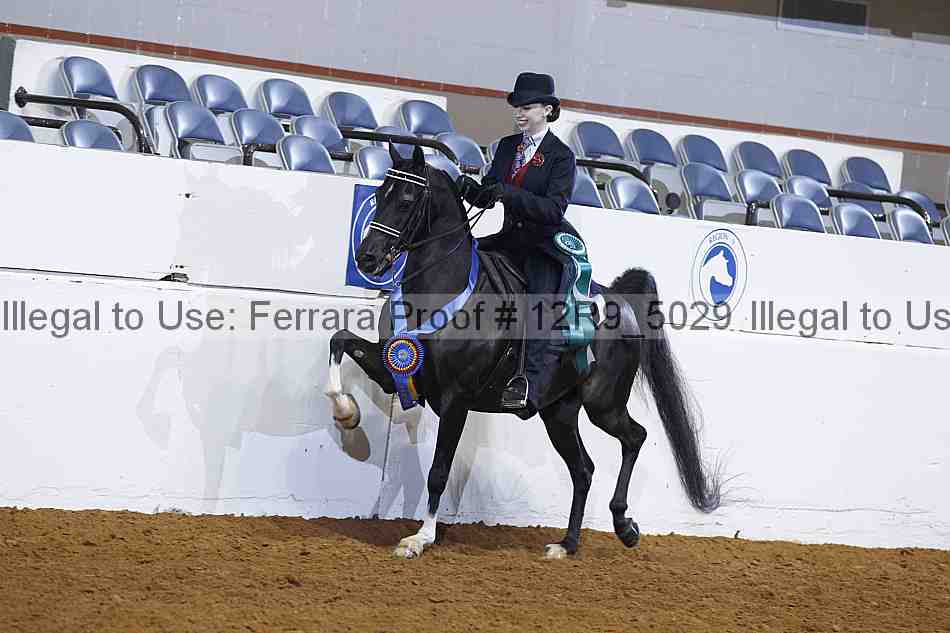 Proof 12r9_5029