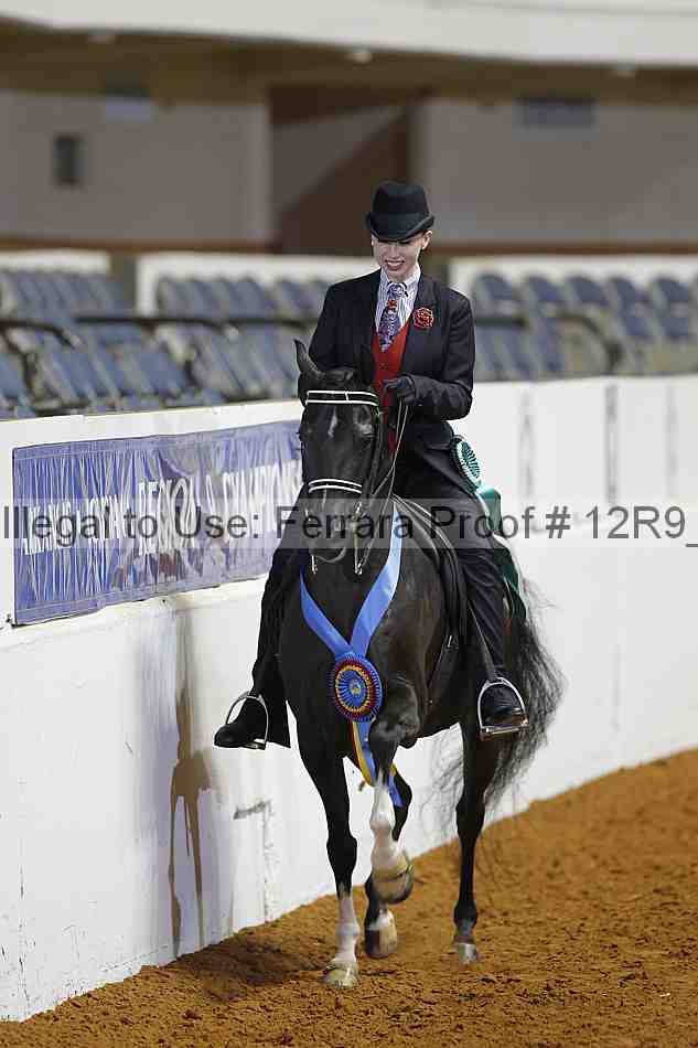 Proof 12r9_5036