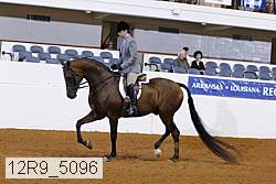 12r9_5096 proof
