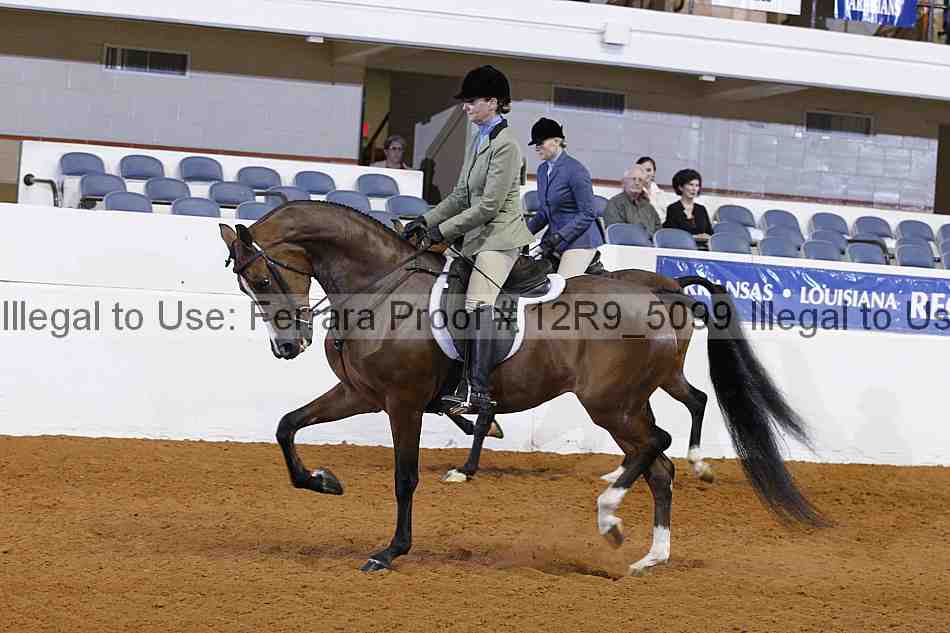Proof 12r9_5099