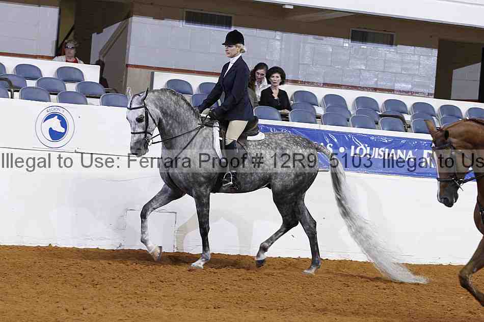 Proof 12r9_5103