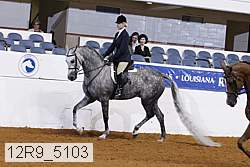 12r9_5103 proof