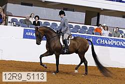12r9_5113 proof