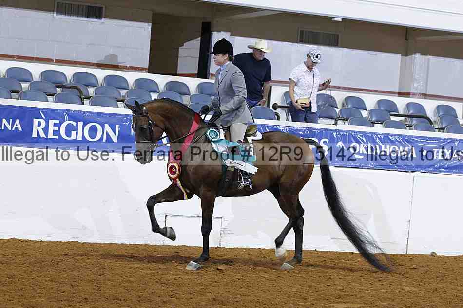 Proof 12r9_5142