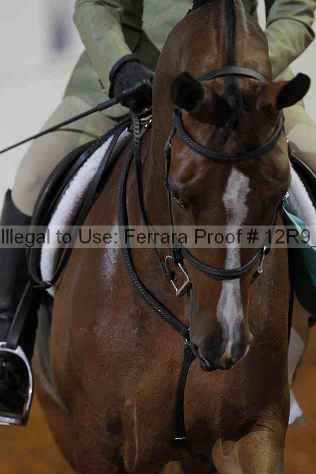 Proof 12r9_5149