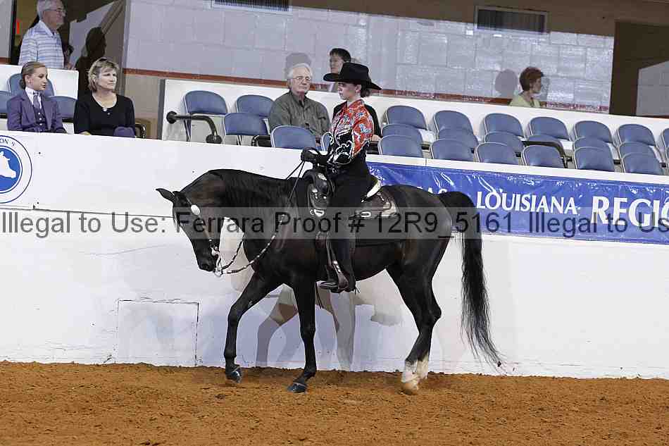 Proof 12r9_5161