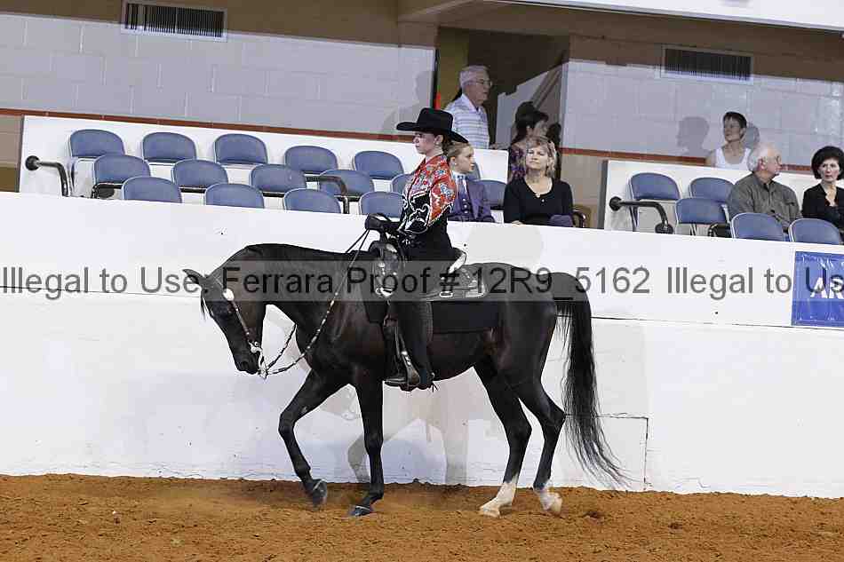 Proof 12r9_5162