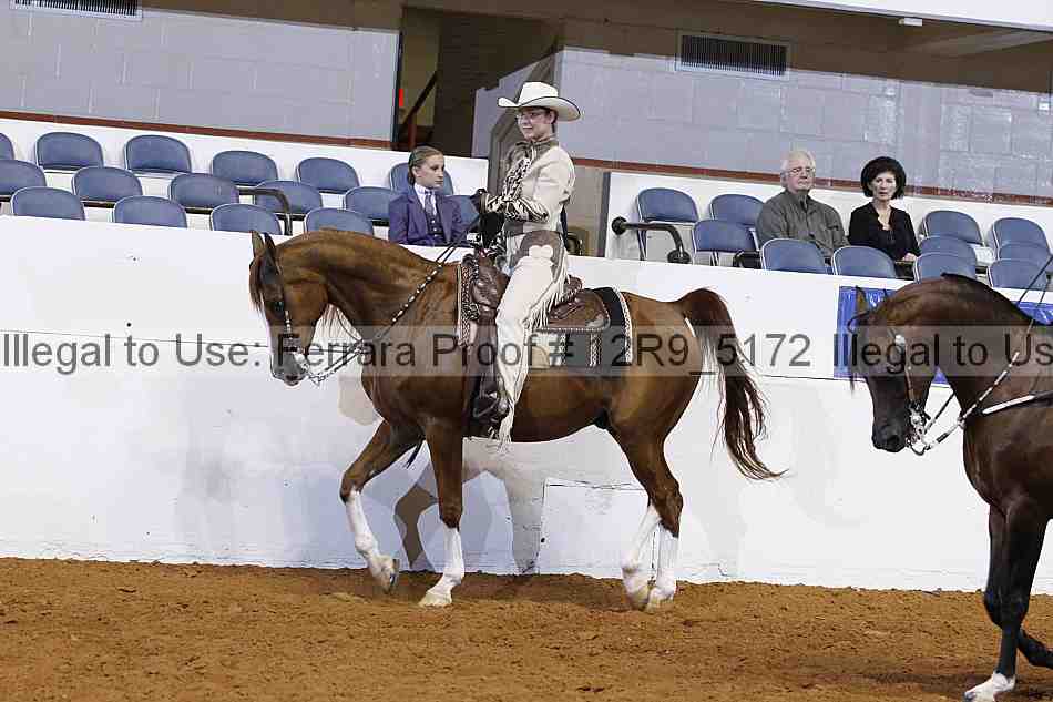 Proof 12r9_5172