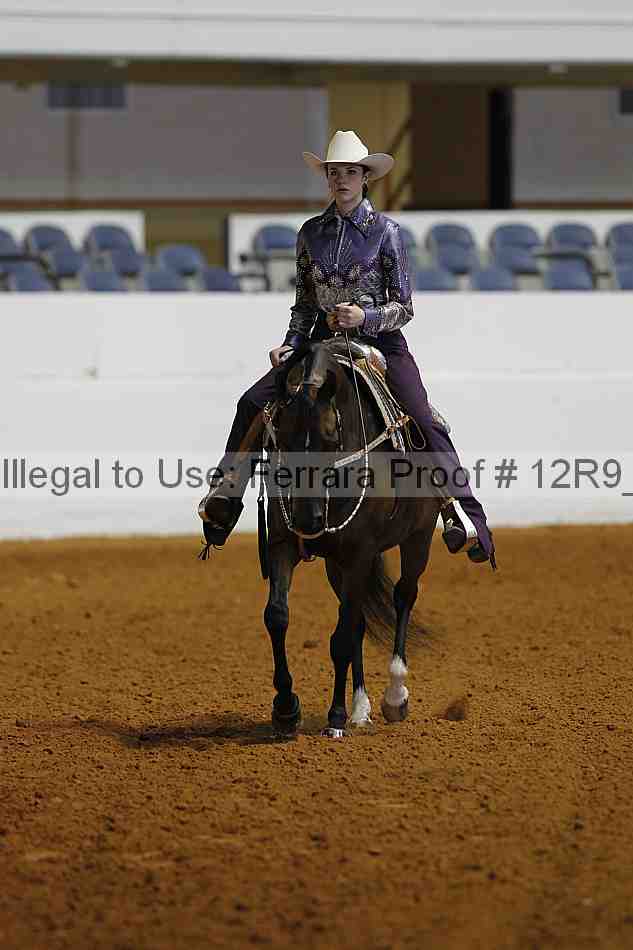 Proof 12r9_5175