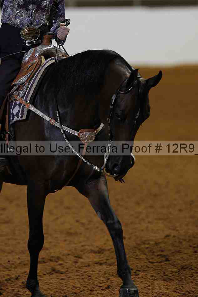 Proof 12r9_5178