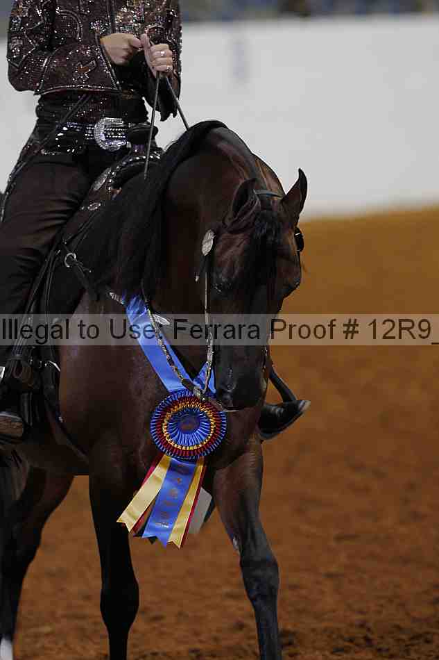 Proof 12r9_5201