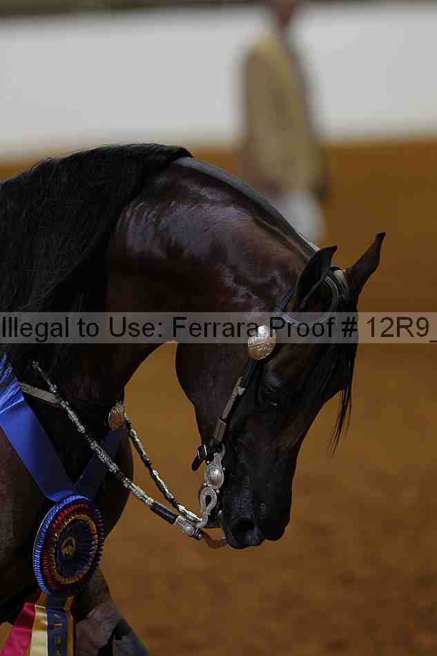 Proof 12r9_5204