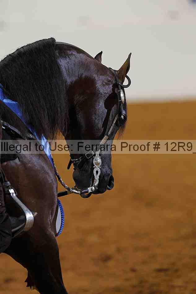 Proof 12r9_5205