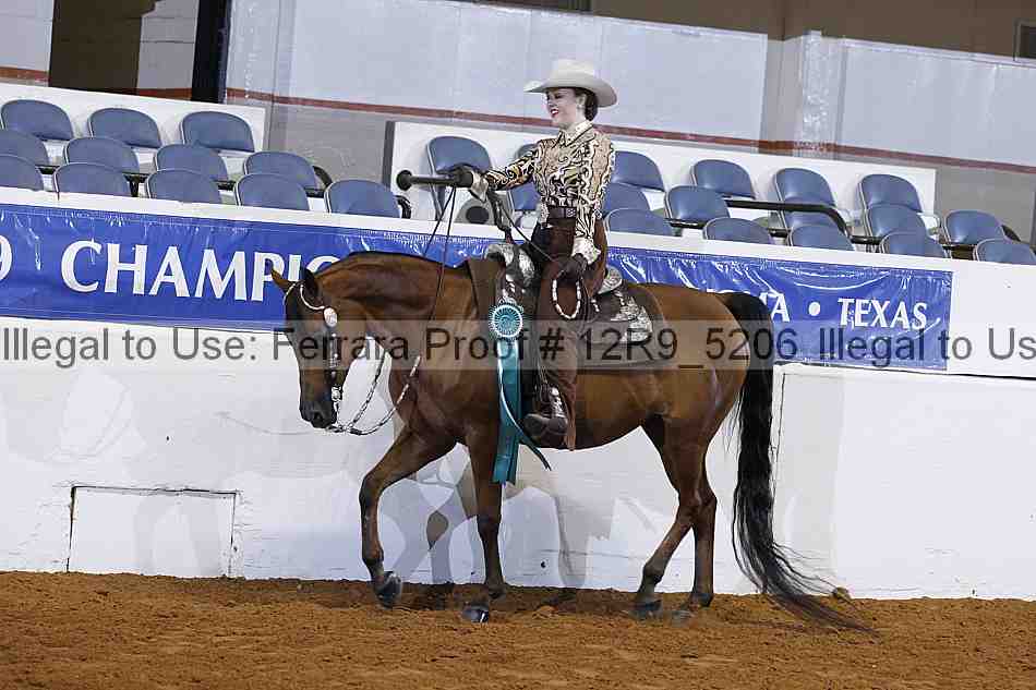 Proof 12r9_5206