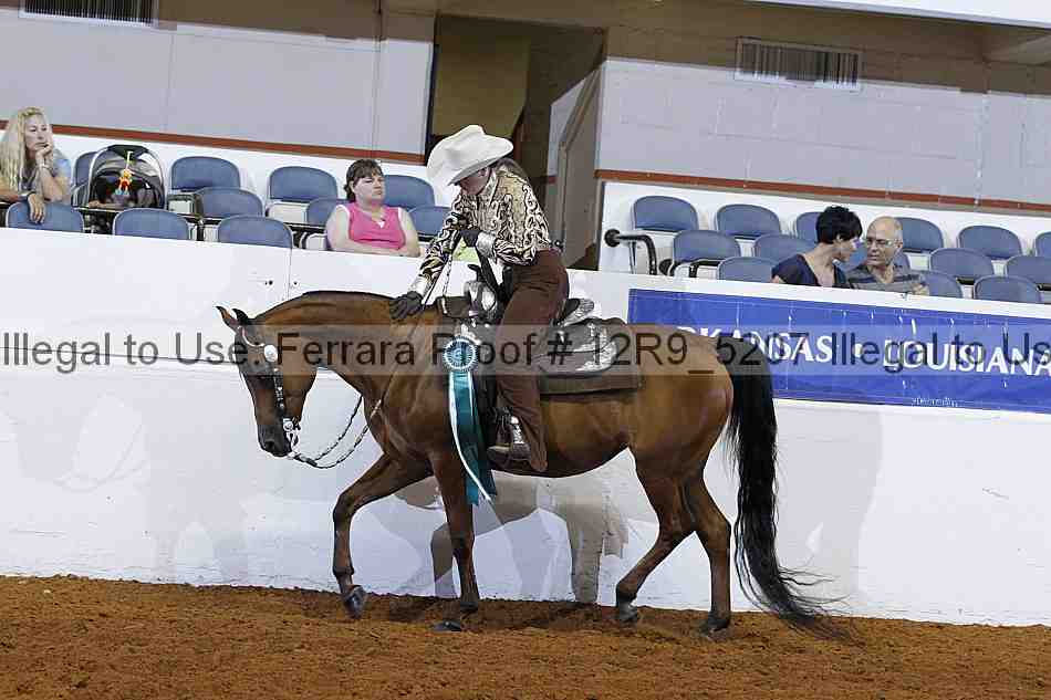 Proof 12r9_5207