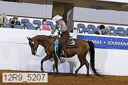 12r9_5207 proof