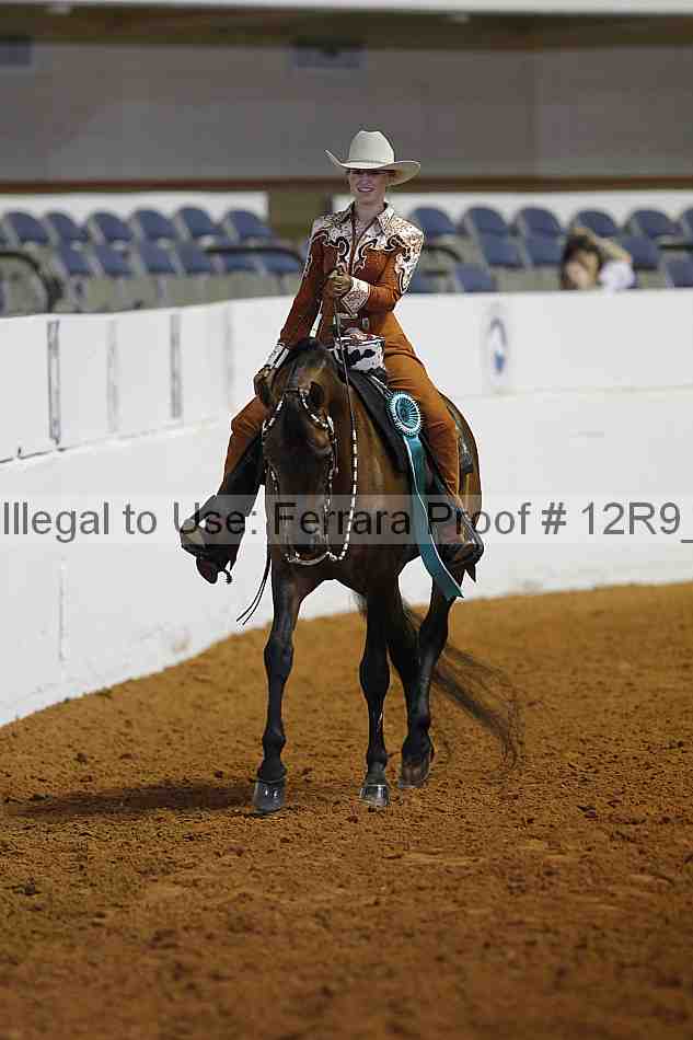 Proof 12r9_5208