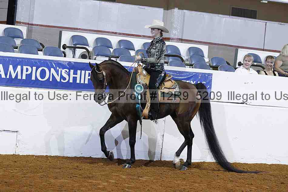 Proof 12r9_5209