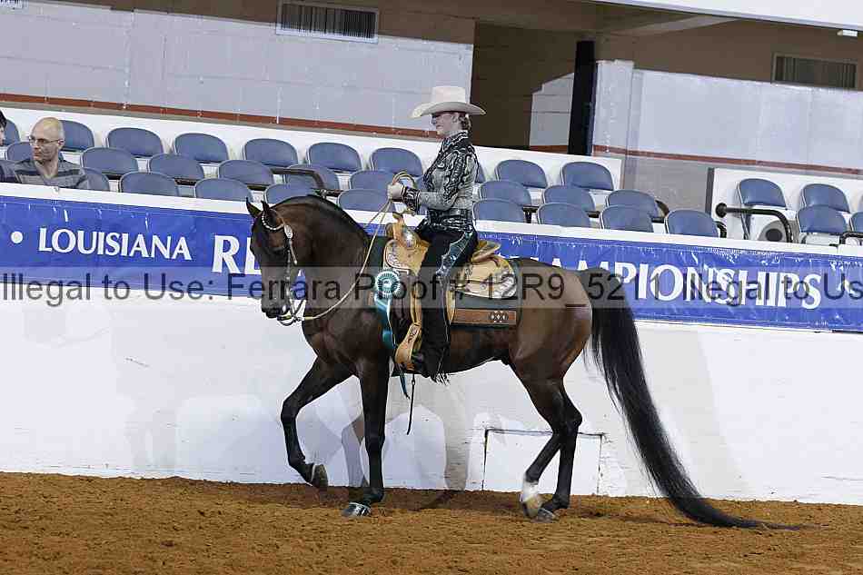 Proof 12r9_5211