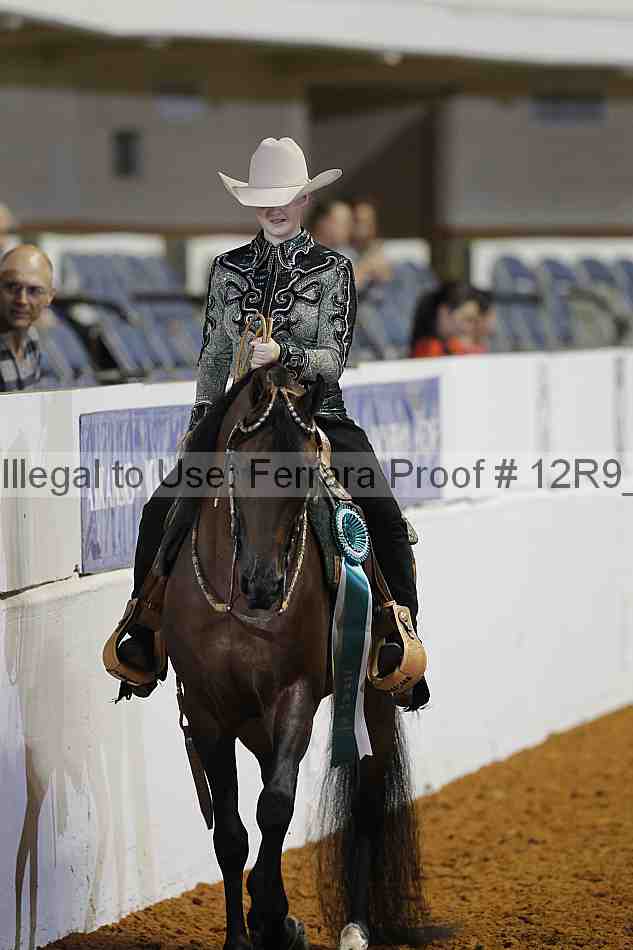 Proof 12r9_5218