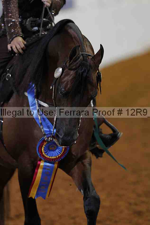 Proof 12r9_5231