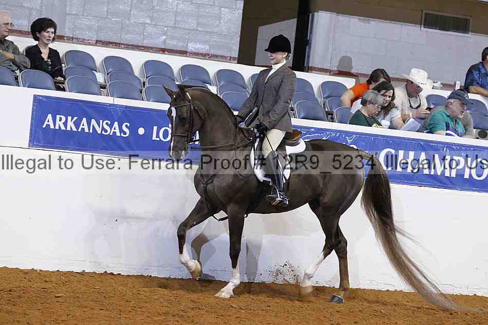 Proof 12r9_5234
