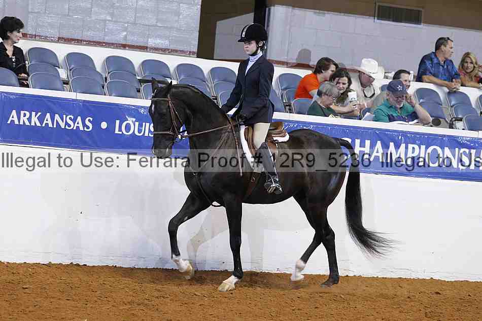 Proof 12r9_5236
