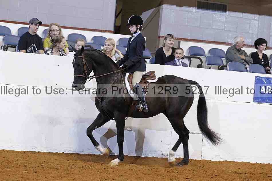 Proof 12r9_5237
