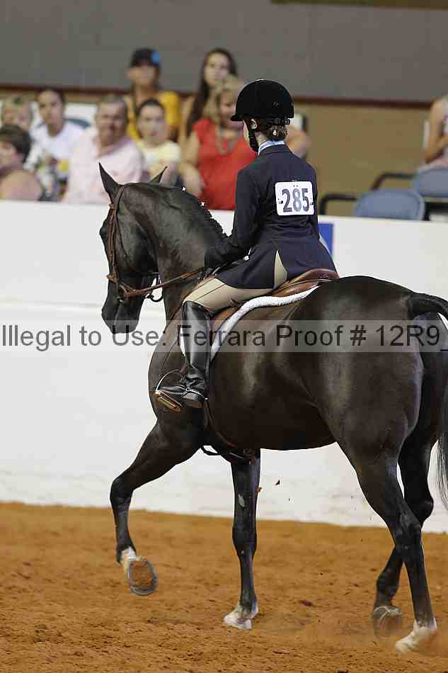 Proof 12r9_5245
