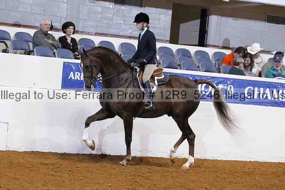 Proof 12r9_5246