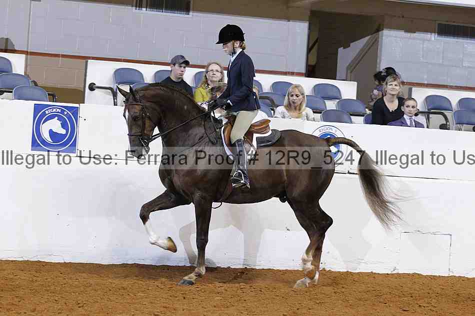 Proof 12r9_5247
