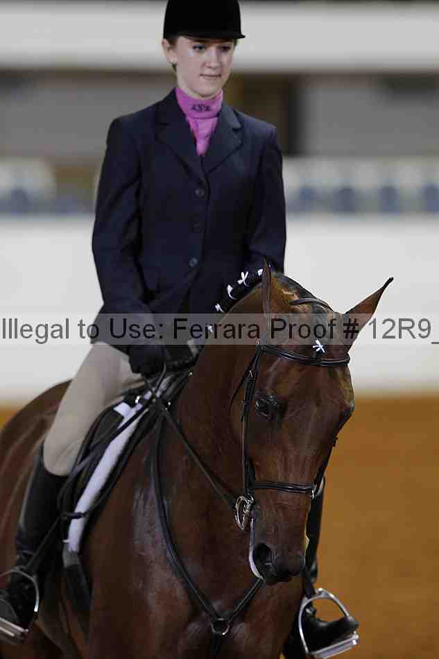 Proof 12r9_5259