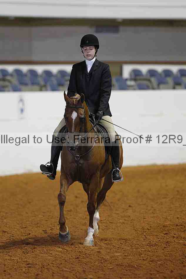 Proof 12r9_5260