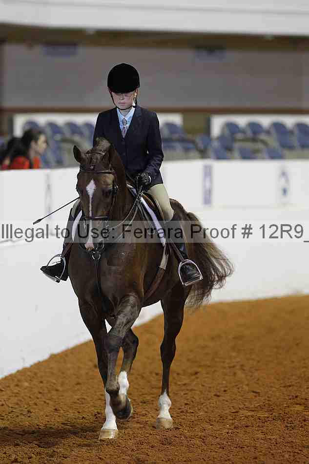Proof 12r9_5261